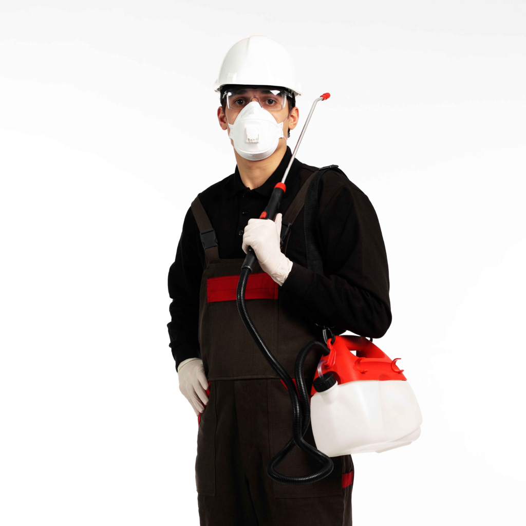exterminateur-cafard