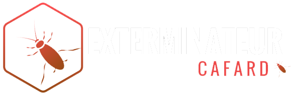 Exterminateur Cafard